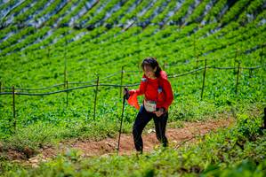 BIB: 926
                            <button type="button" onclick="openModal(19164375)" class="btn btn-primary btn-sm float-right btn-popup" data-toggle="modal" data-target=".modal-high-quality">
                        <i class="fas fa-shopping-cart"></i> Add to Cart
                    </button>
                                            <button type="button" onclick="isThisMe(19164375, true)" class="btn btn-success btn-sm float-right btn-popup btn-isme hidden" data-toggle="tooltip" data-placement="bottom" title="นี่คือรูปของคุณใช่ไหม คลิกที่นี่เพื่อเอาเข้าอัลบั้ม">
                        <i class="fas fa-plus"></i> Add to album
                    </button>
                    <button type="button" onclick="isThisMe(19164375, false)" class="btn btn-warning btn-sm float-right btn-popup btn-isnotme hidden">
                        <i class="fas fa-ban"></i> Remove from album
                    </button>